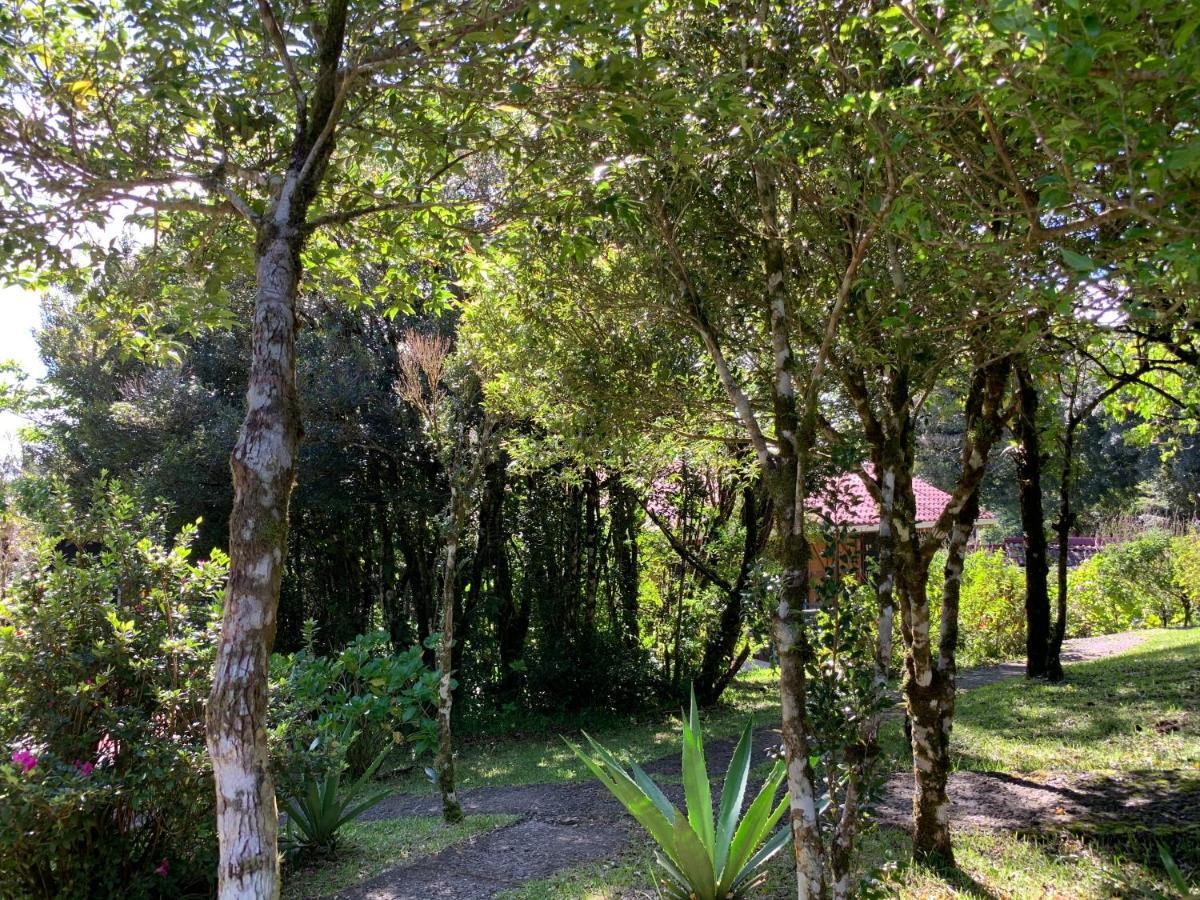 Rancho Makena Bed and Breakfast Monteverde Eksteriør billede